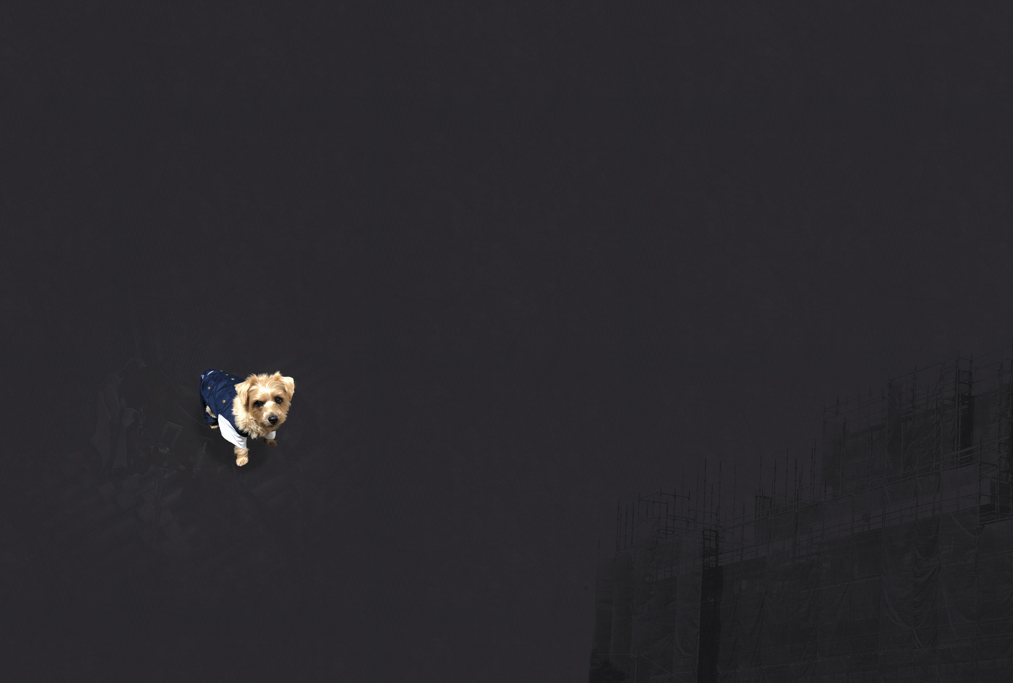 secondmain_bg01